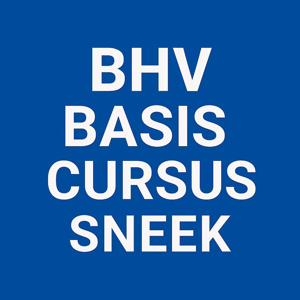 BHV Basis Cursus Sneek