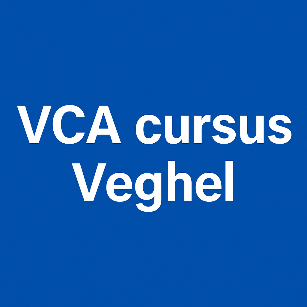 Veghel Zijtaart VCA Cursus